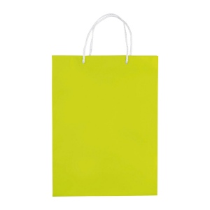 Sac papier Grand 19