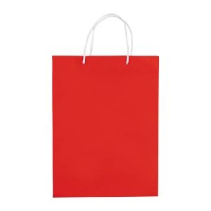 Sac papier Grand 14