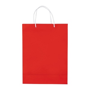 Sac papier Grand 15