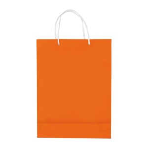 Sac papier Grand 16