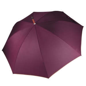 Parapluie mât en bois 2