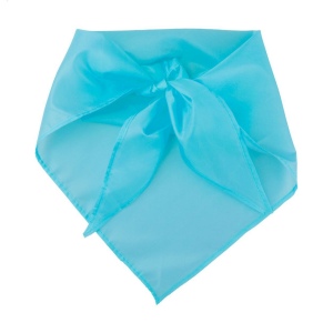 Capra foulard 10