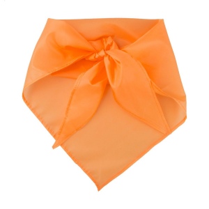Capra foulard 4