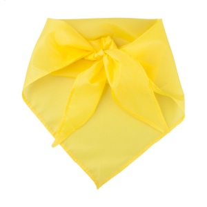 Capra foulard 3