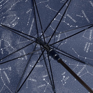 Parapluie standard FARE 4