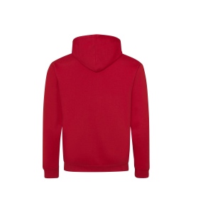 Sweat capuche zippé contrasté 20