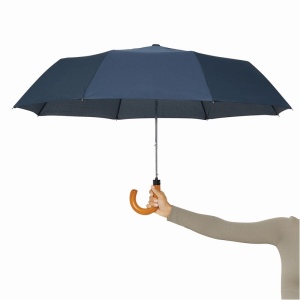 Parapluie pliable homme LORD 10