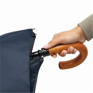 Parapluie pliable homme LORD 12