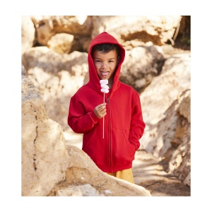 Sweat capuche grand zip enfant