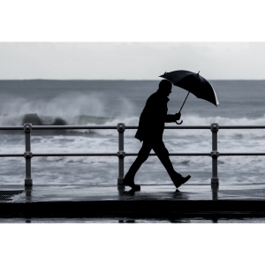 ALBERT. Parapluie en pongee 190T avec ouverture automatique 5