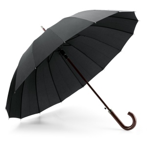 HEDI. Parapluie à 16 baleines en pongee 190T avec ouverture automatique 2