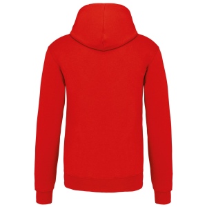 Sweat-shirt capuche contrastée homme 33