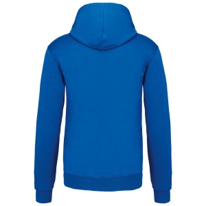 Sweat-shirt capuche contrastée homme 37