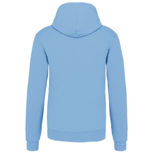 Sweat-shirt capuche contrastée homme 38