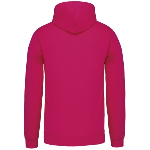 Sweat-shirt capuche contrastée homme 39