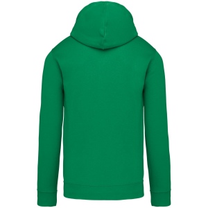 Sweat-shirt capuche contrastée homme 28