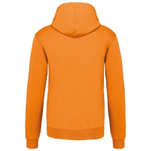 Sweat-shirt capuche contrastée homme 31