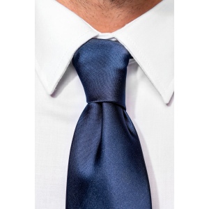 Chemise ajustée manches longues sans repassage 21