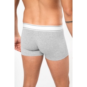 Boxer 13