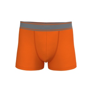 Boxer 7