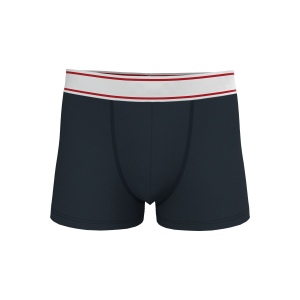 Boxer 11