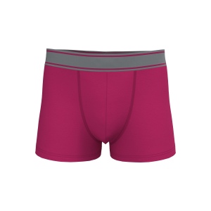 Boxer 5