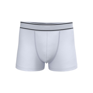 Boxer 4