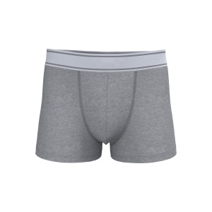 Boxer 8