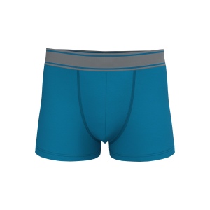 Boxer 10