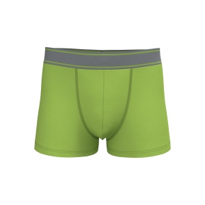 Boxer 6