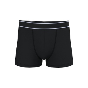 Boxer 2