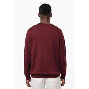 Pull col V homme 13