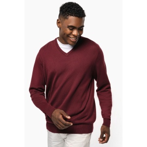 Pull col V homme 14