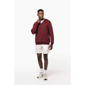 Pull col V homme 15