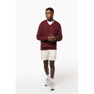 Pull col V homme 16