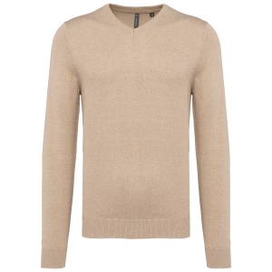 Pull col V homme 9