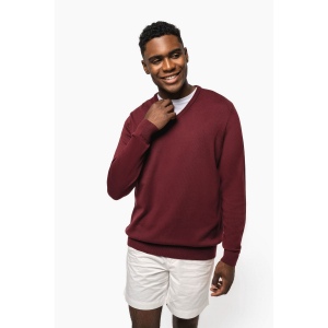 Pull col V homme