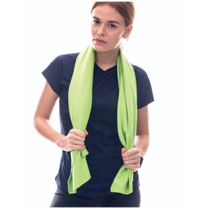 Serviette Micro-Fibre 30 X 50 Cm 2