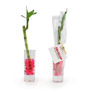 Bambou d'eau en vase 2