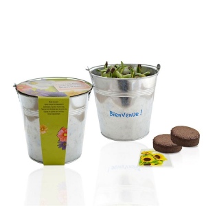 Kit plantation pot zinc Ø13 cm 2