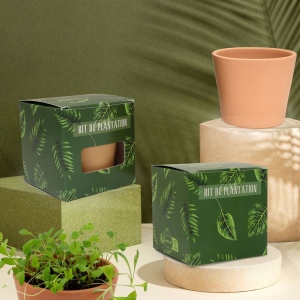 Cube plantation standard Ø7cm