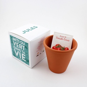 Cube plantation Ø10 cm 2