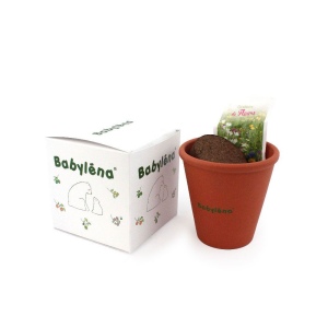 Cube plantation Ø10 cm 3