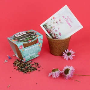 Kit plantation pot paille de riz