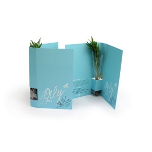 Plante postale 2