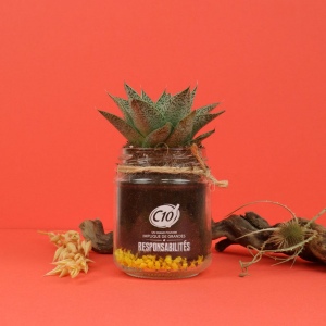Plante bocal