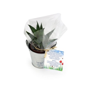 Plante pot zinc Ø7 cm 2