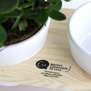 Plateau bois 2 pots céramique 2