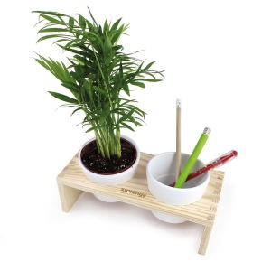 Plateau bois 2 pots céramique 3