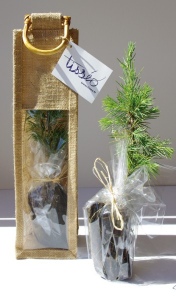 Plant d'arbre sac jute - Feuillus 2